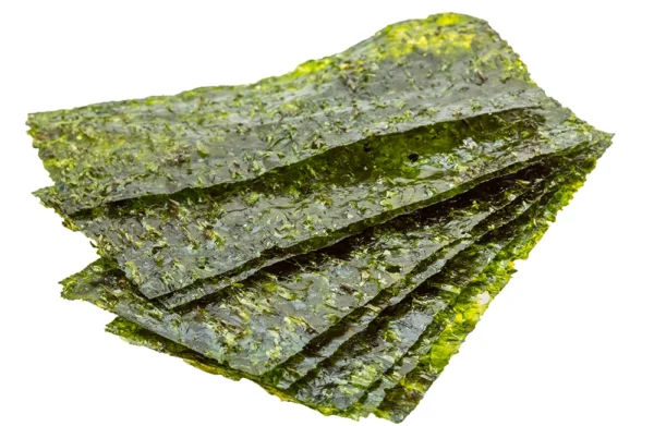 Alga Nori