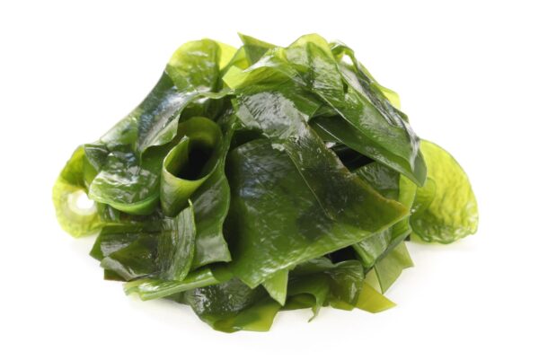 Alga Wakame