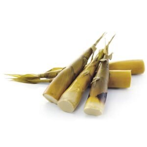 Bambú