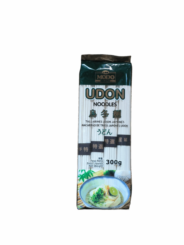 Fideo udon